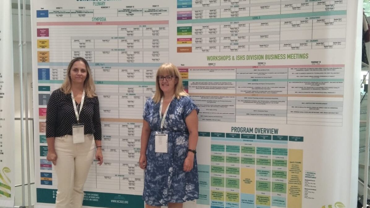 09378238-bc63-491f-95c4-02d55f096862 (2)