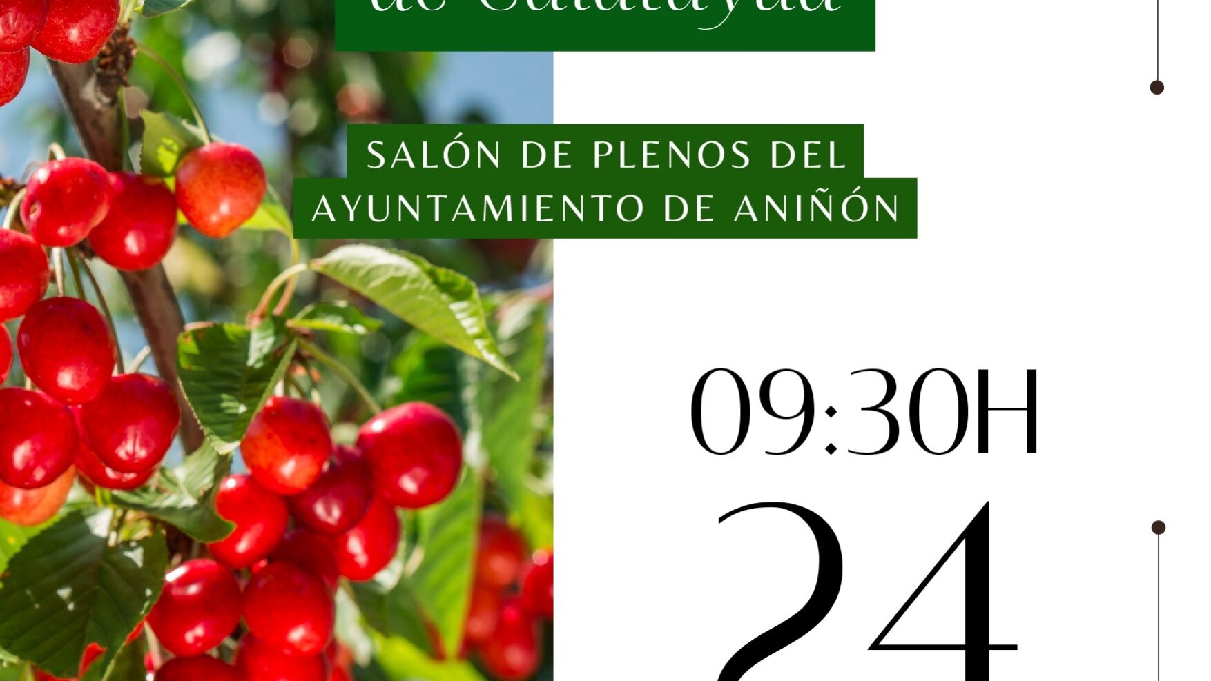 20230209_II JORNADA CEREZO ANIÑÓN_Cartel+Programa_enlace inscripcion_v3_page-0001