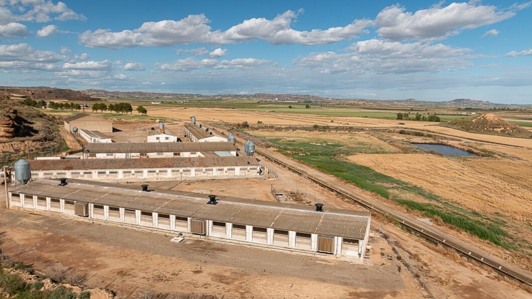 220525_Almuniente_web15