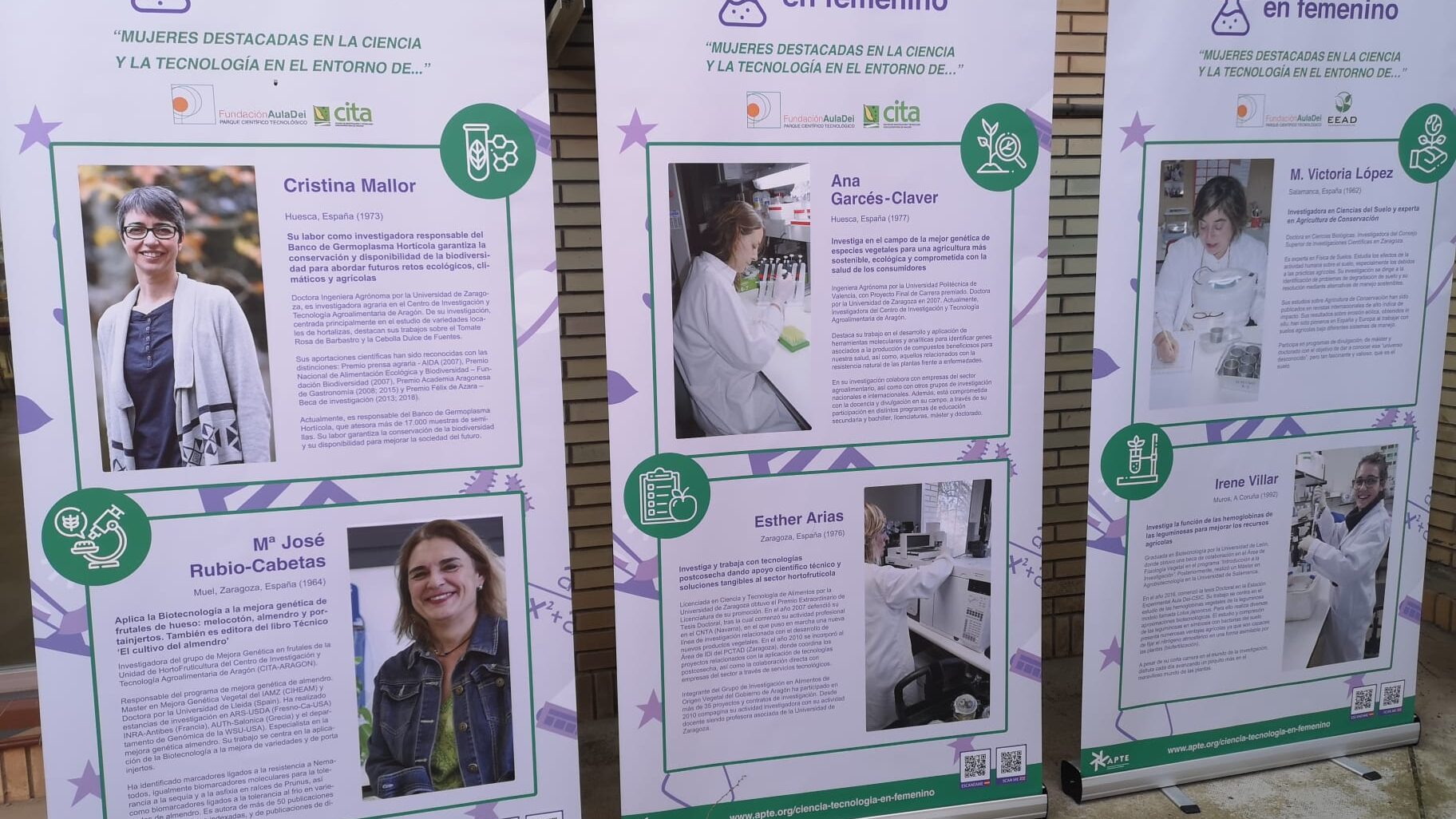 6392245d-2608-4ec1-b104-4a01bd1471af_0