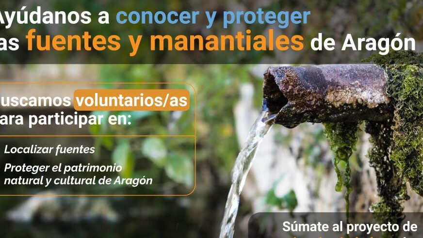 639c33ae401fe.r_d.3533-1937-1390