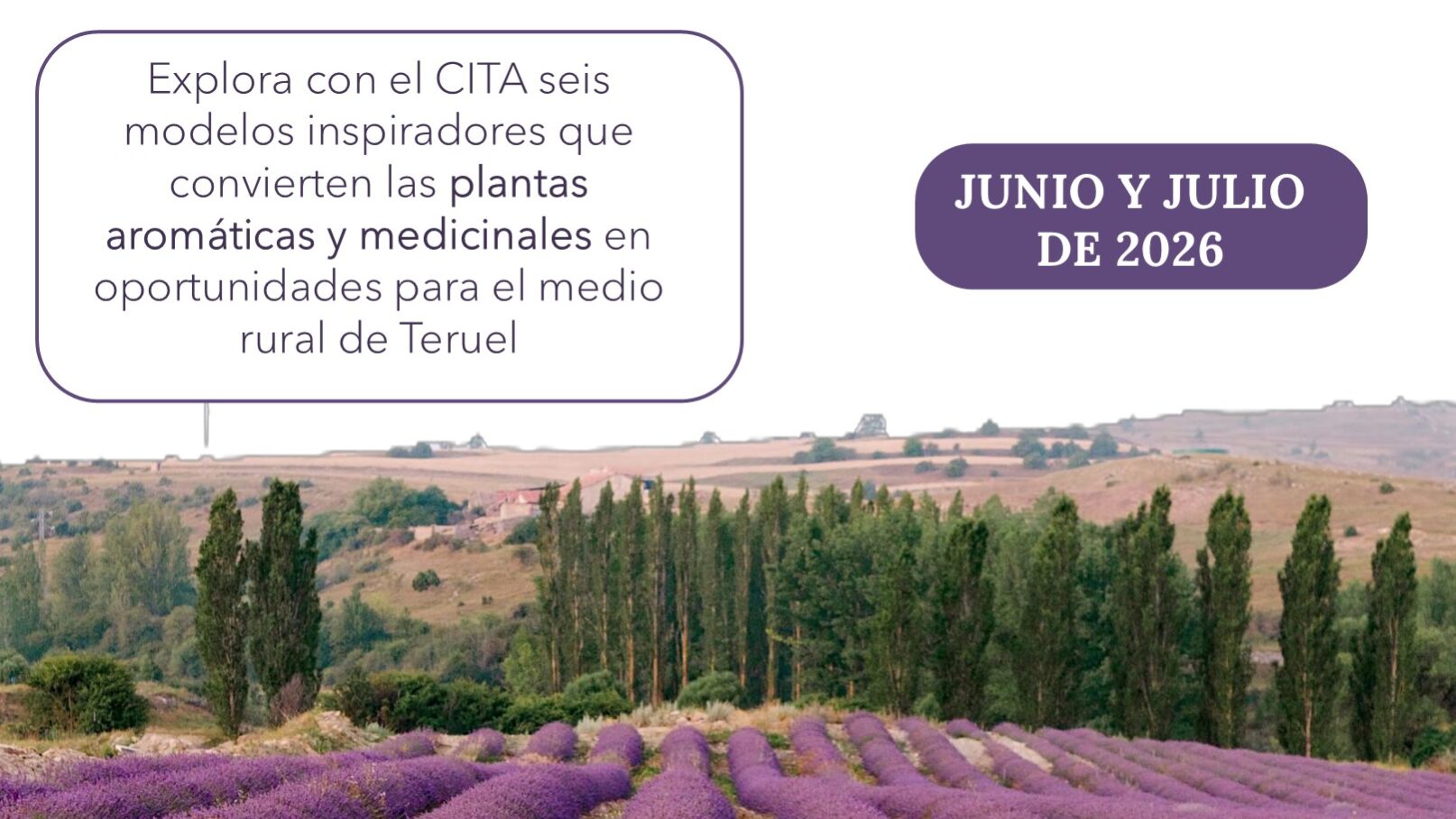 Curso experiencial de PAM