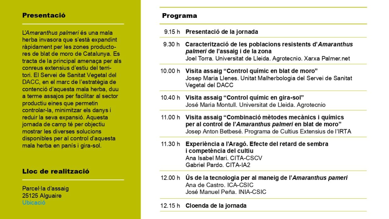 Alguaire_Amaranthus palmeri_0307_240194 (3)_page-0001