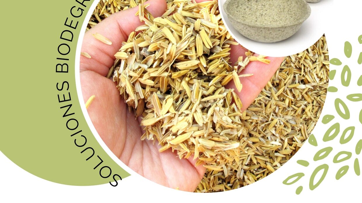 CARTEL Y PROGRAMA AGROCIRC 2030 web