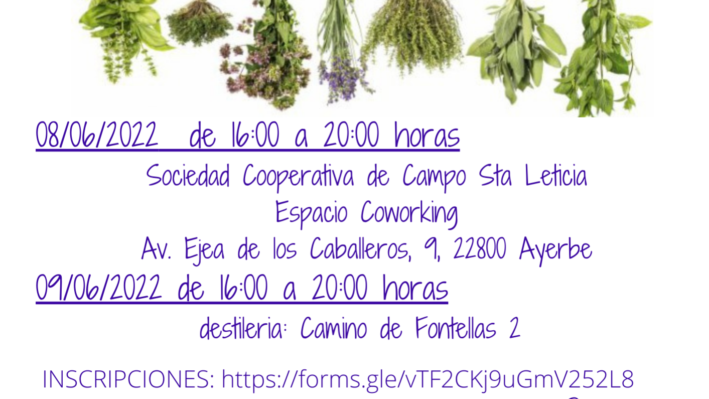 CURSO CULTIVO ECOLOGICA DE PLANTAS AROMATICAS(3)