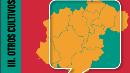 Captura de pantalla (7)