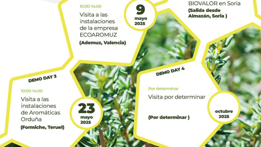 Biovalor Demoday