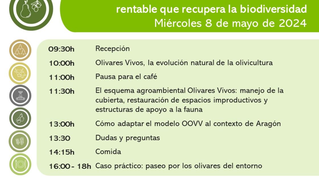 Cartel Olivares Vivos