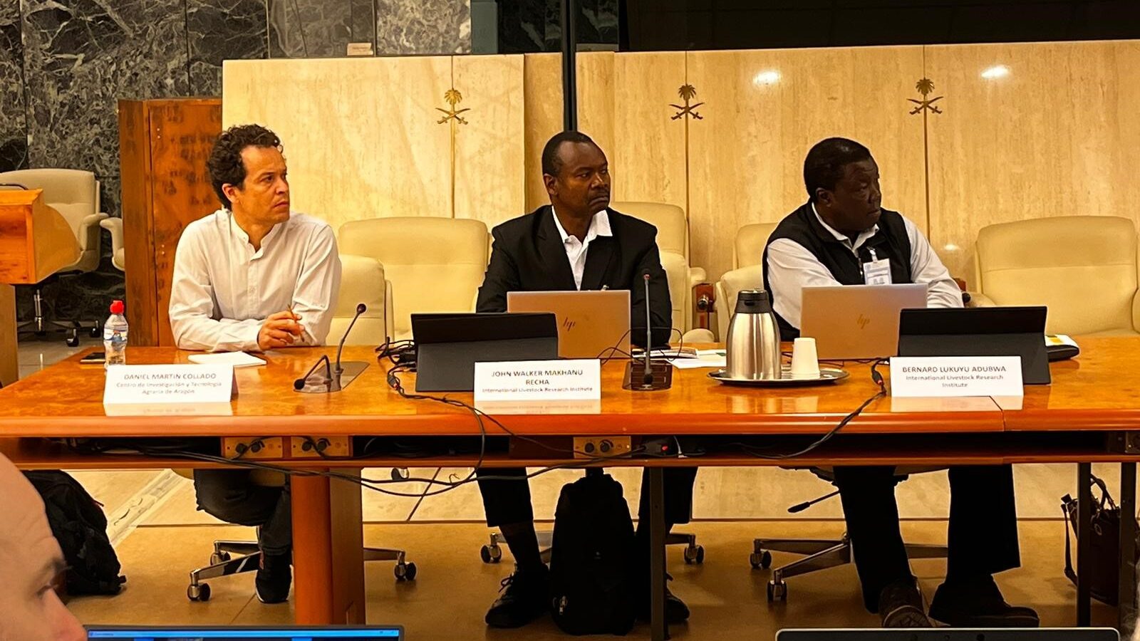 Daniel Martin Collado