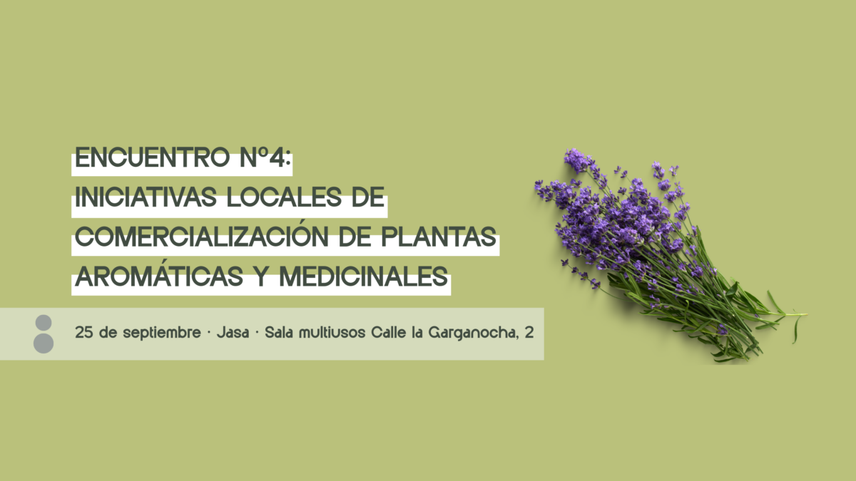 ENCUENTRO 4 – cabecera blog