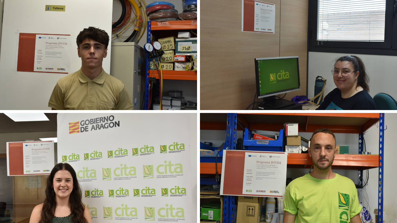 Empleo JOVEM 2026