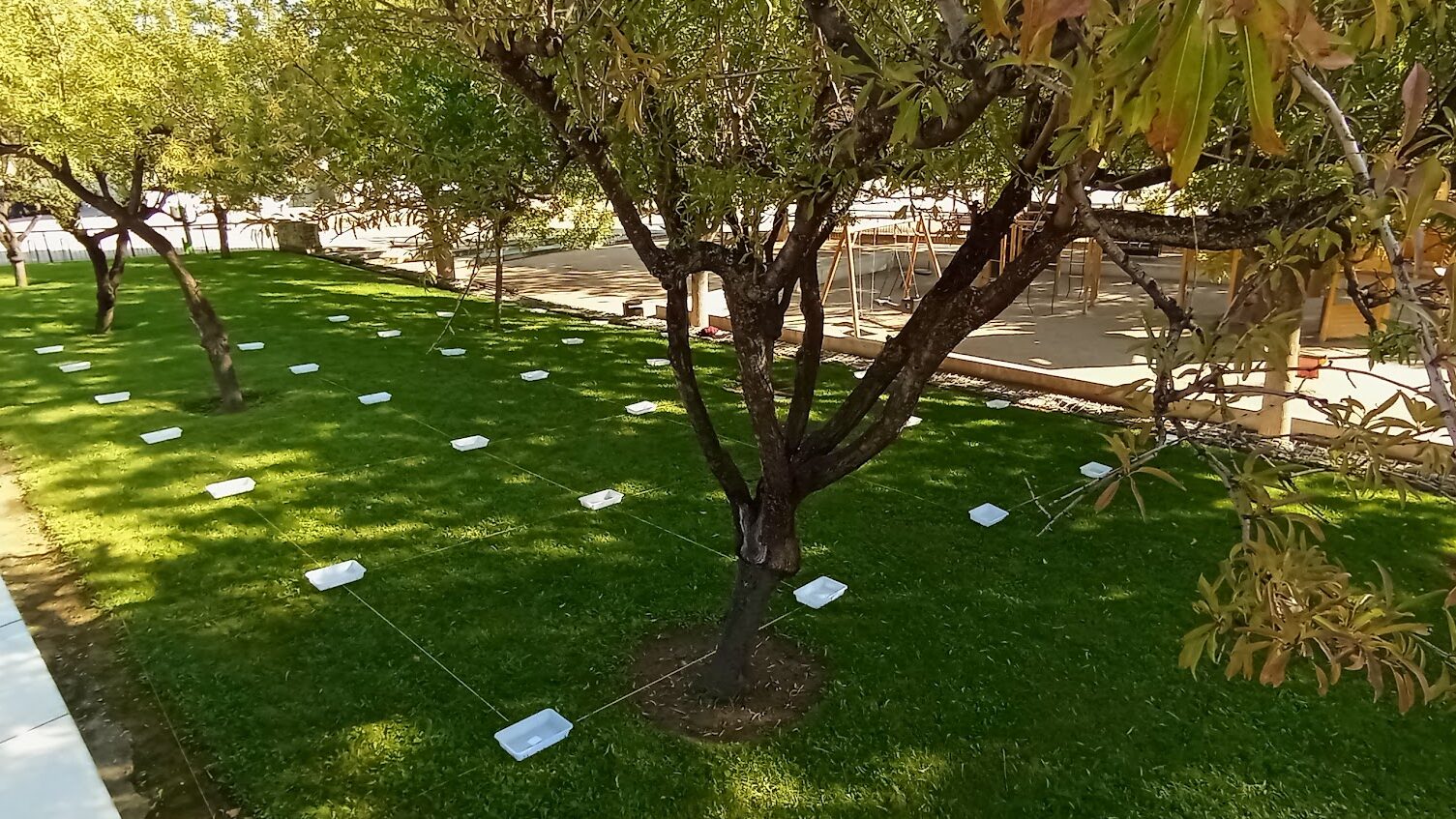 Evaluación de riego