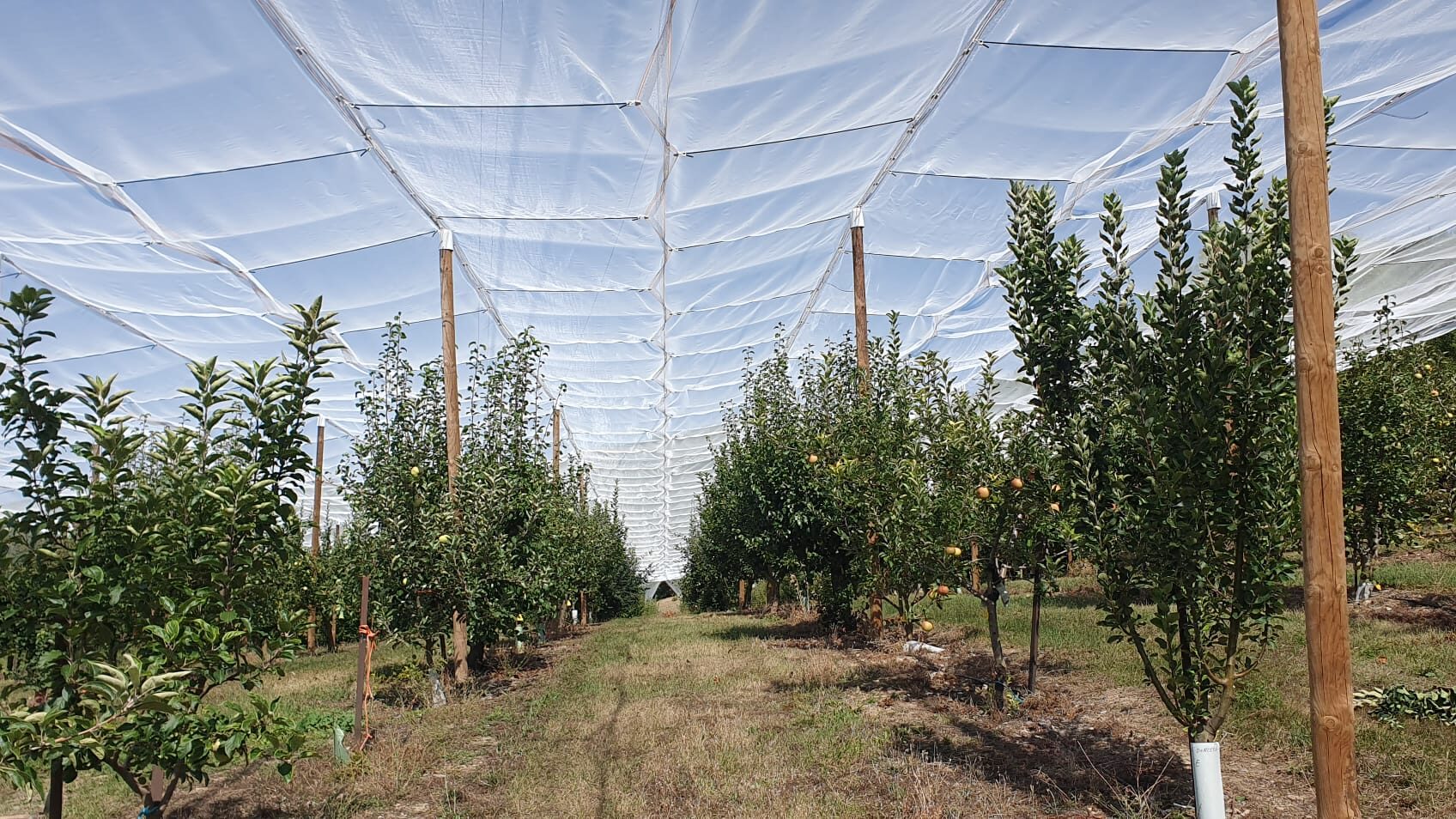 Jornada técnica en La Garcipollera