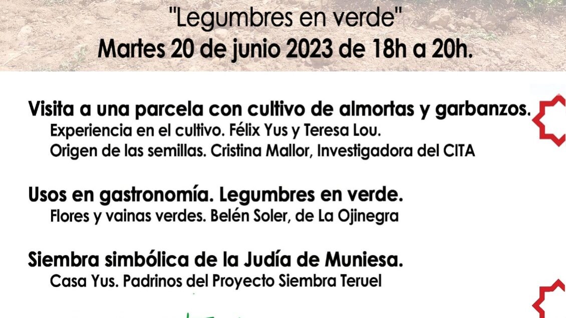 Imagen de WhatsApp 2023-06-12 a las 12.33.02