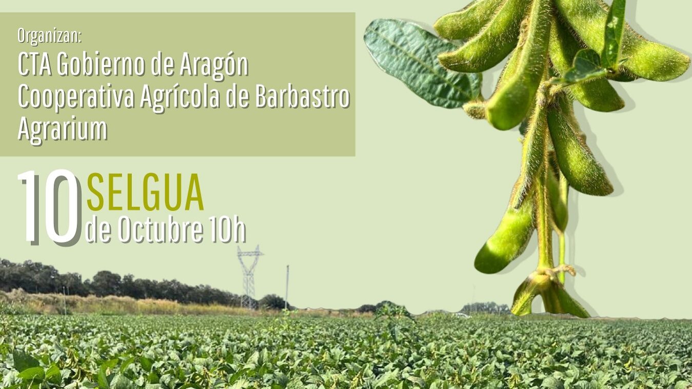 JORNADA CAMPO TRANFERENCIA SOJA (3) (1)_page-0001