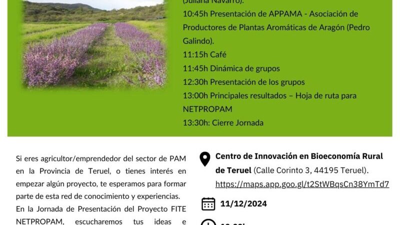 JORNADA DE PRESENTACIÓN DEL PROYECTO FITE NETPROPAM
