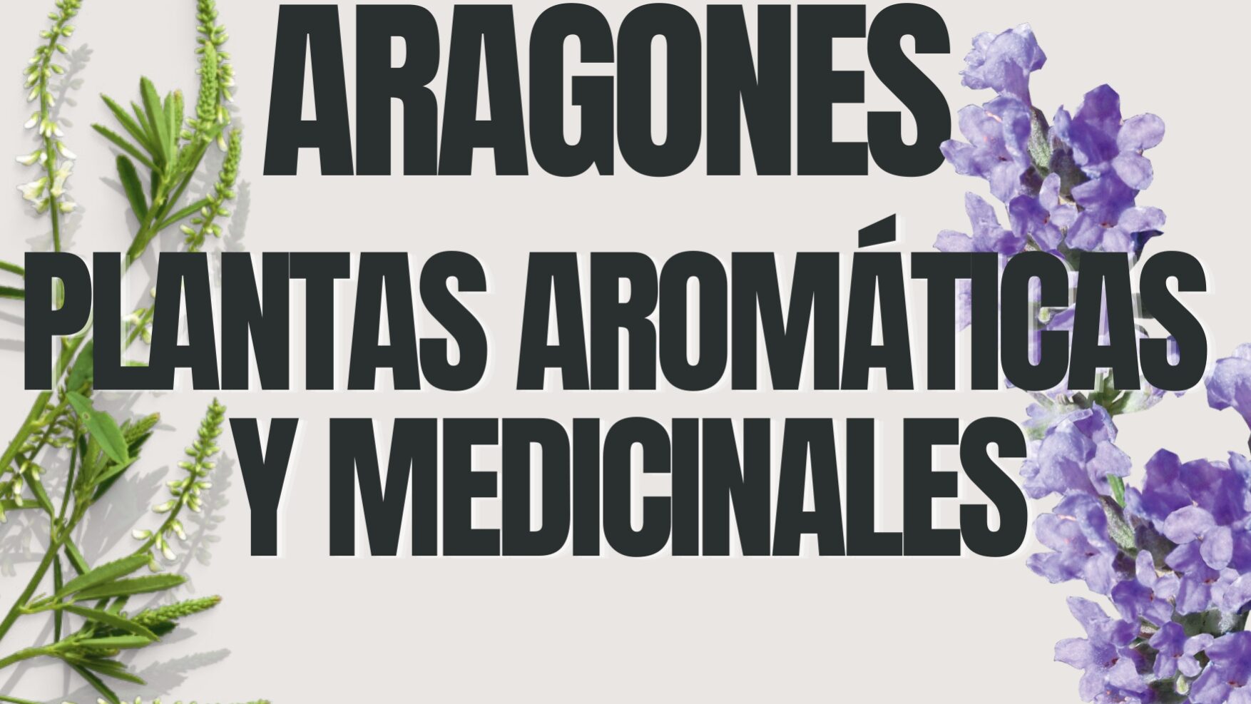 JORNADA PAM CON INSCRIPCION v2 (1) (1)_page-0001