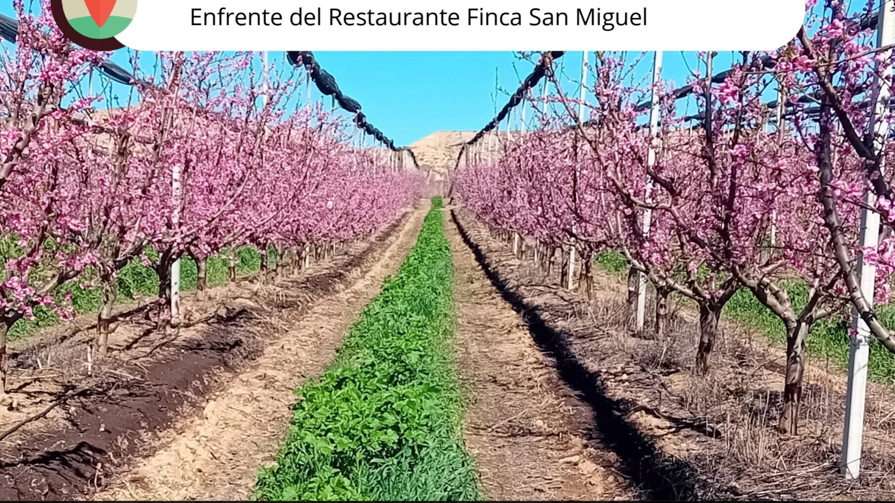 JORNADA TÉCNICA PROYECTO COVERCROPS_page-0001