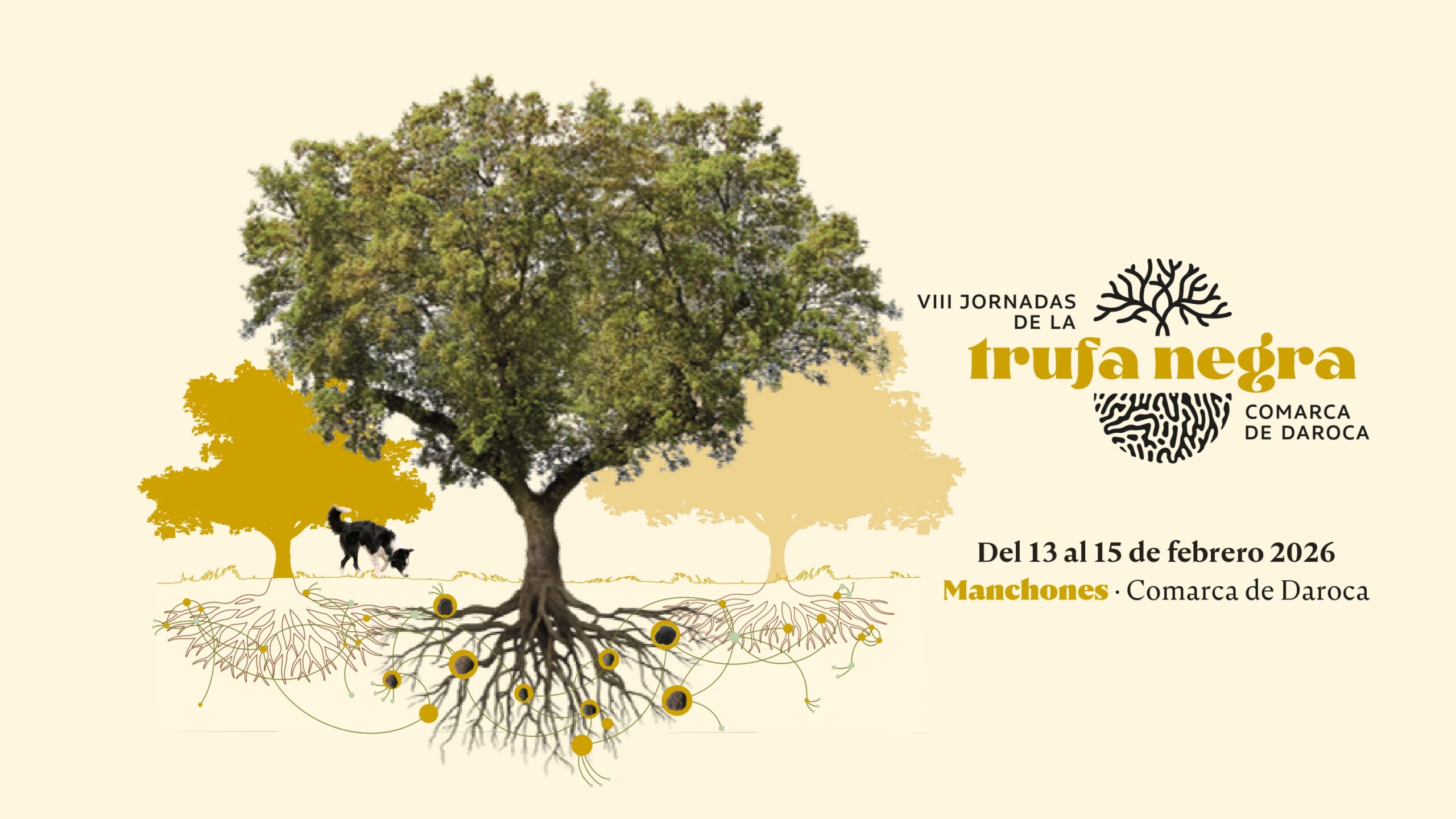 Jornadas de la Trufa de Daroca