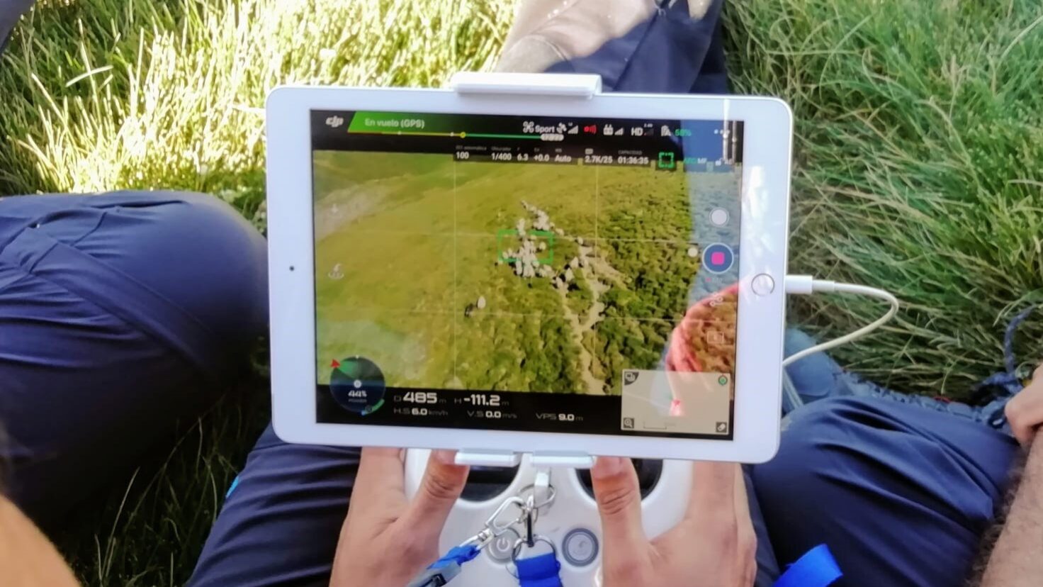 Operador del dron manejando el rebaño