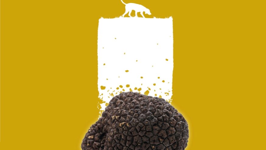 PROGRAMA TRUFA 23_page-0001