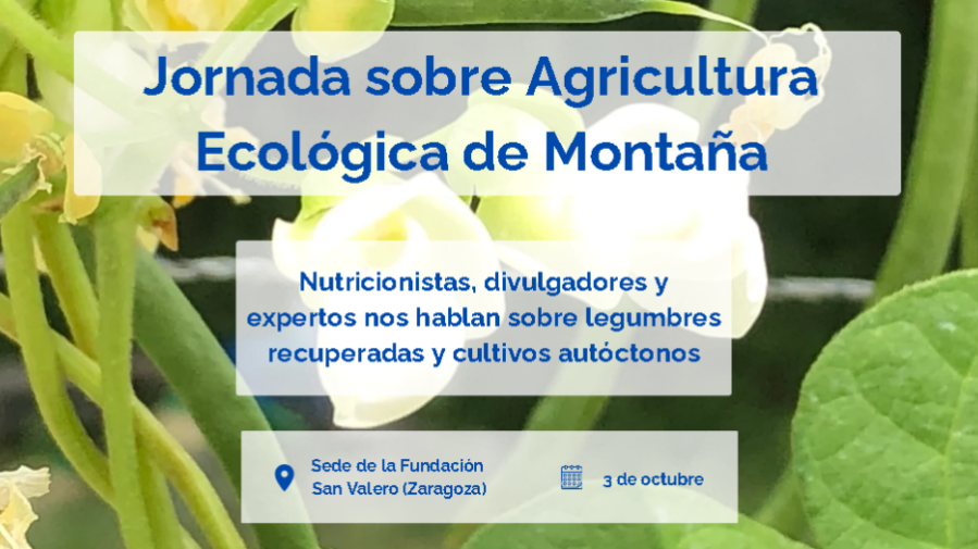 Pastilla-invitaciob-1024×506