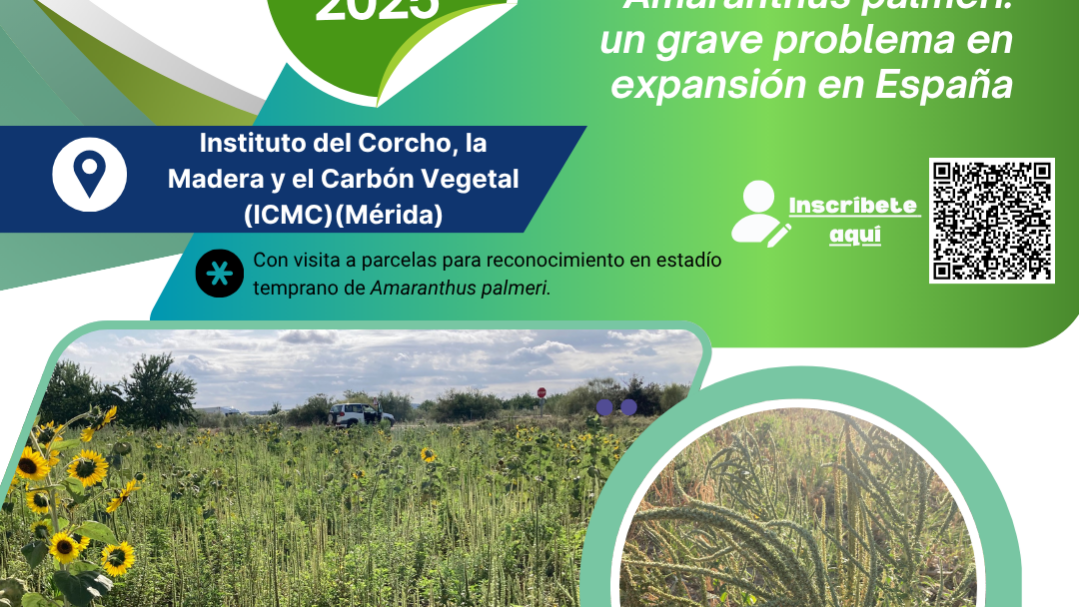 Portada_Programa_Amarantus definitivo