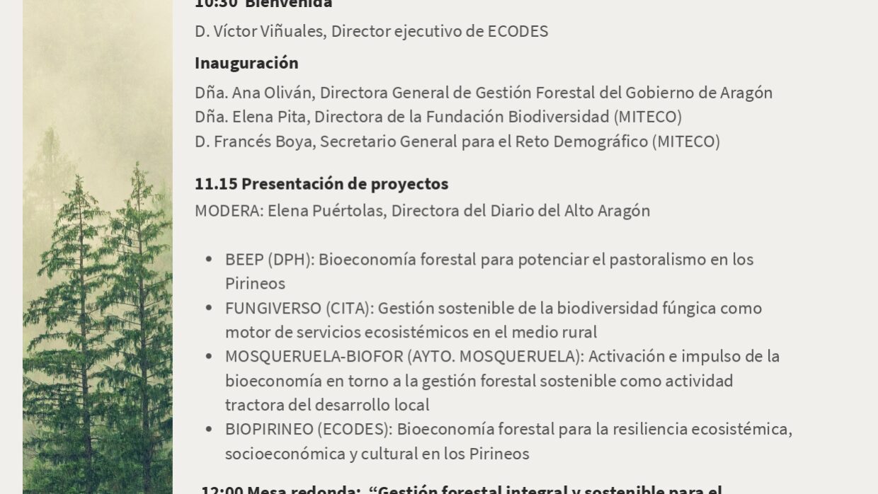 Programa jornadas (1)_page-0001 (2)