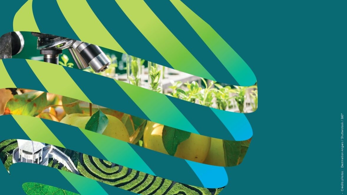 Promotional-poster-IHC2022_page-0001