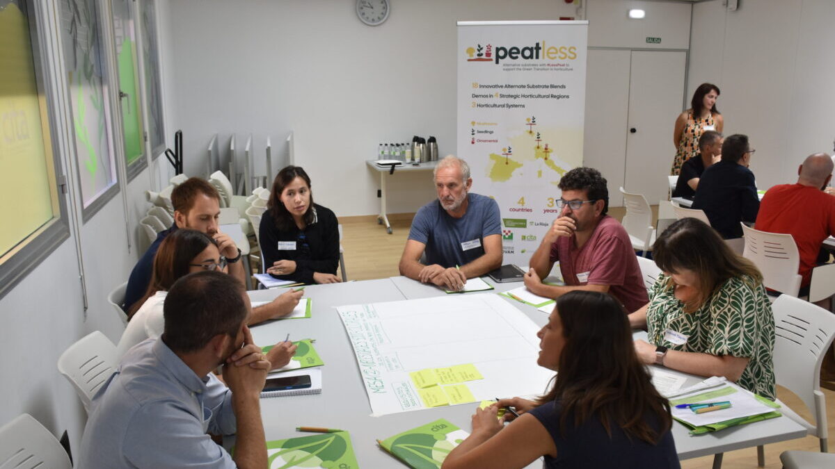Taller de cocreacion turba PEATLESS