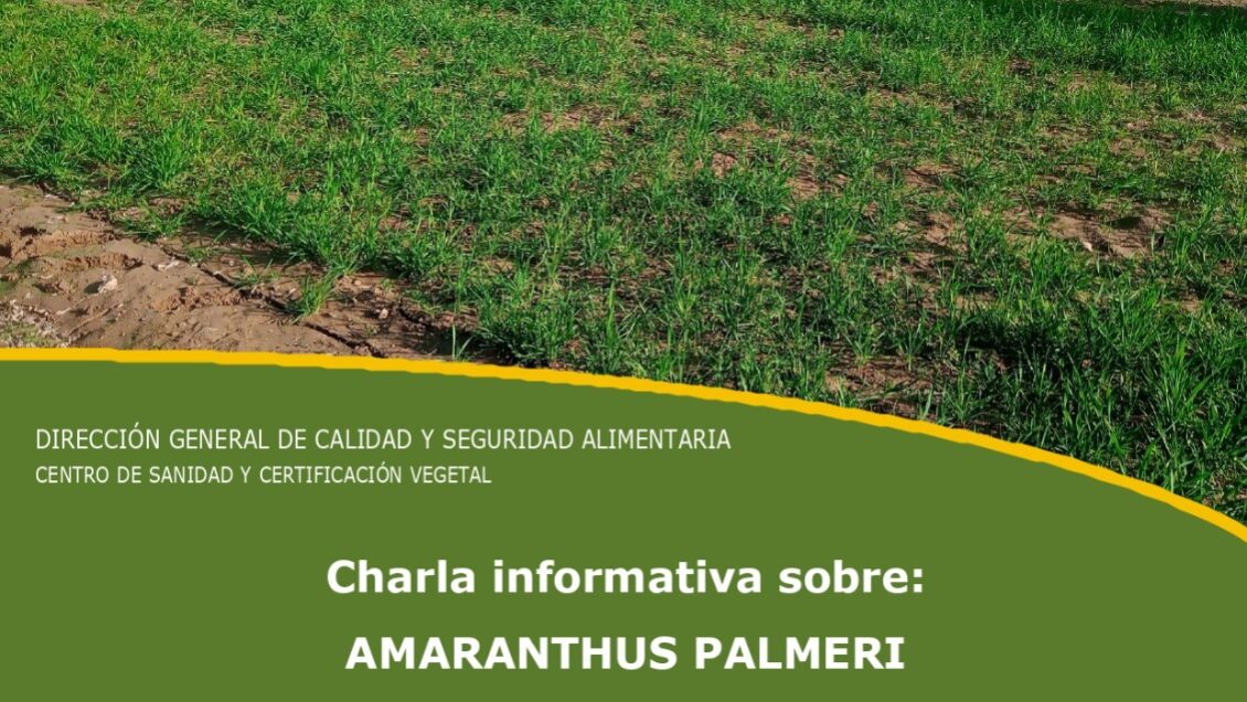 Charla informativa Amaranthus Palmeri