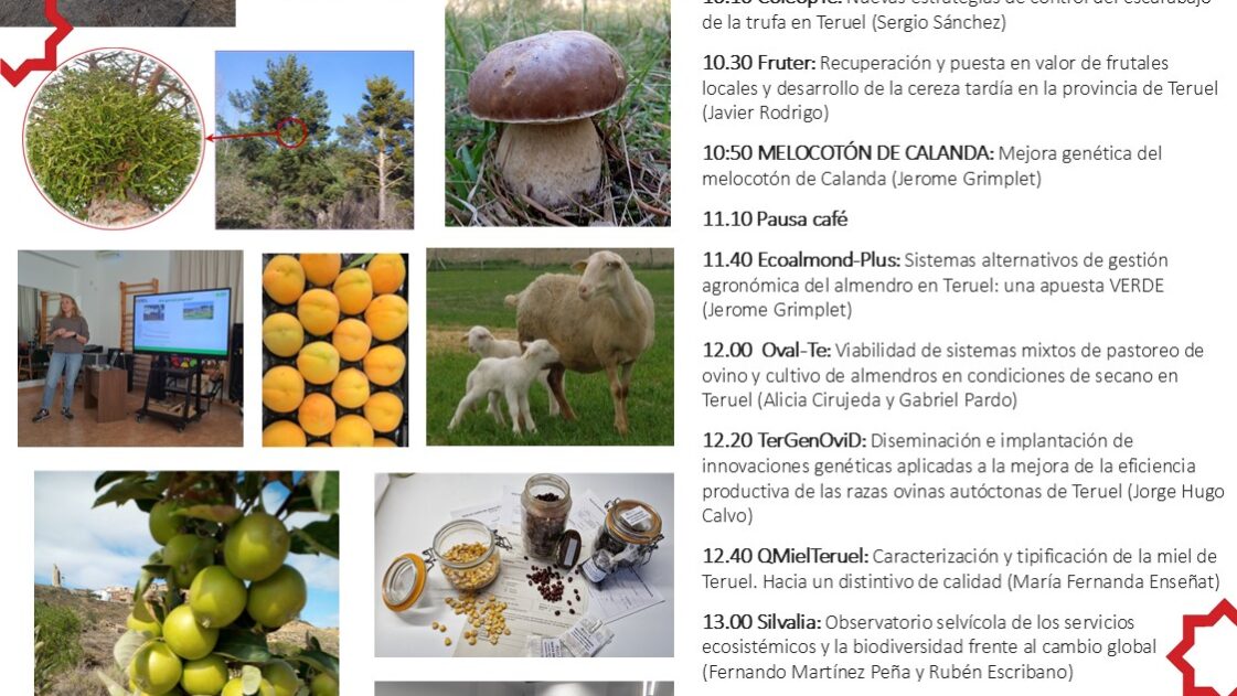 cartel Jornada FITE 21