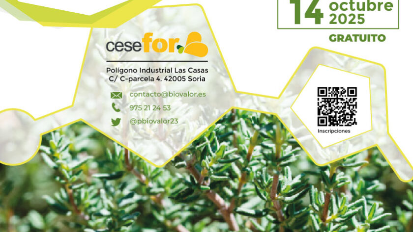 cartel-Talleres-emprendimiento_14102025_Cesefor