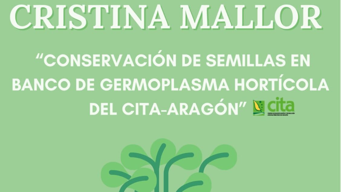 confrenciaNavarra