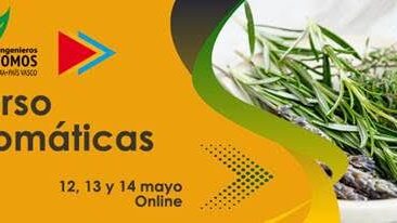 curso aromáticas