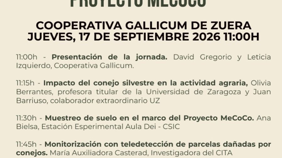 jornada mecoco