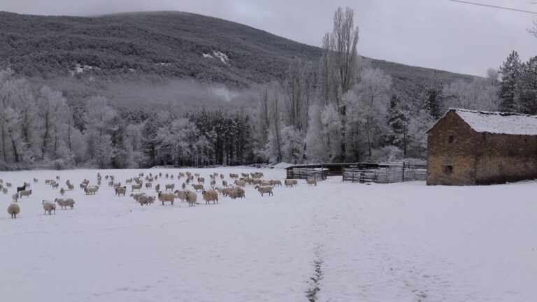 marzo 16_nieve