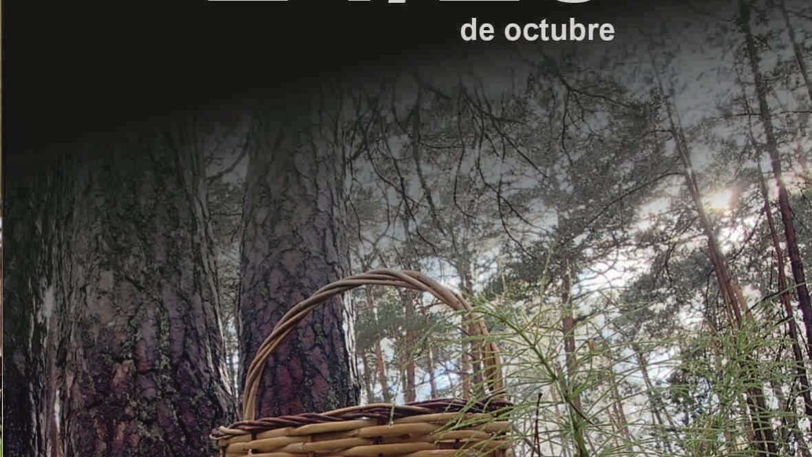 portada Living Lab Fungiverso 24 y 25 de octubre