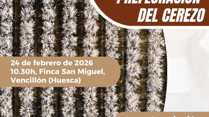 technocherry-folleto-2-724×1024