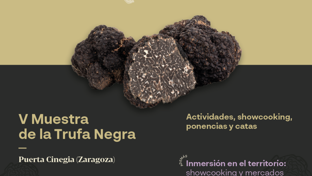 V Muestra de la Trufa Negra