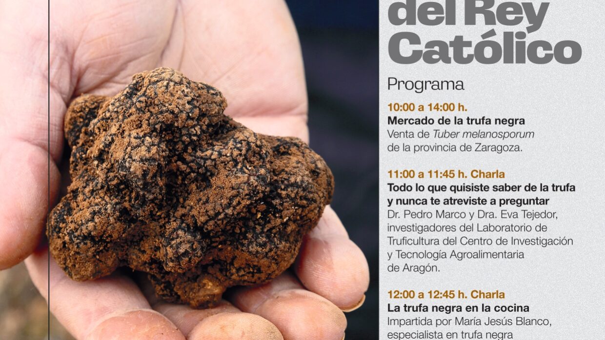 trufa_sos_del_rey_católico_A4_con_cruces_page-0001